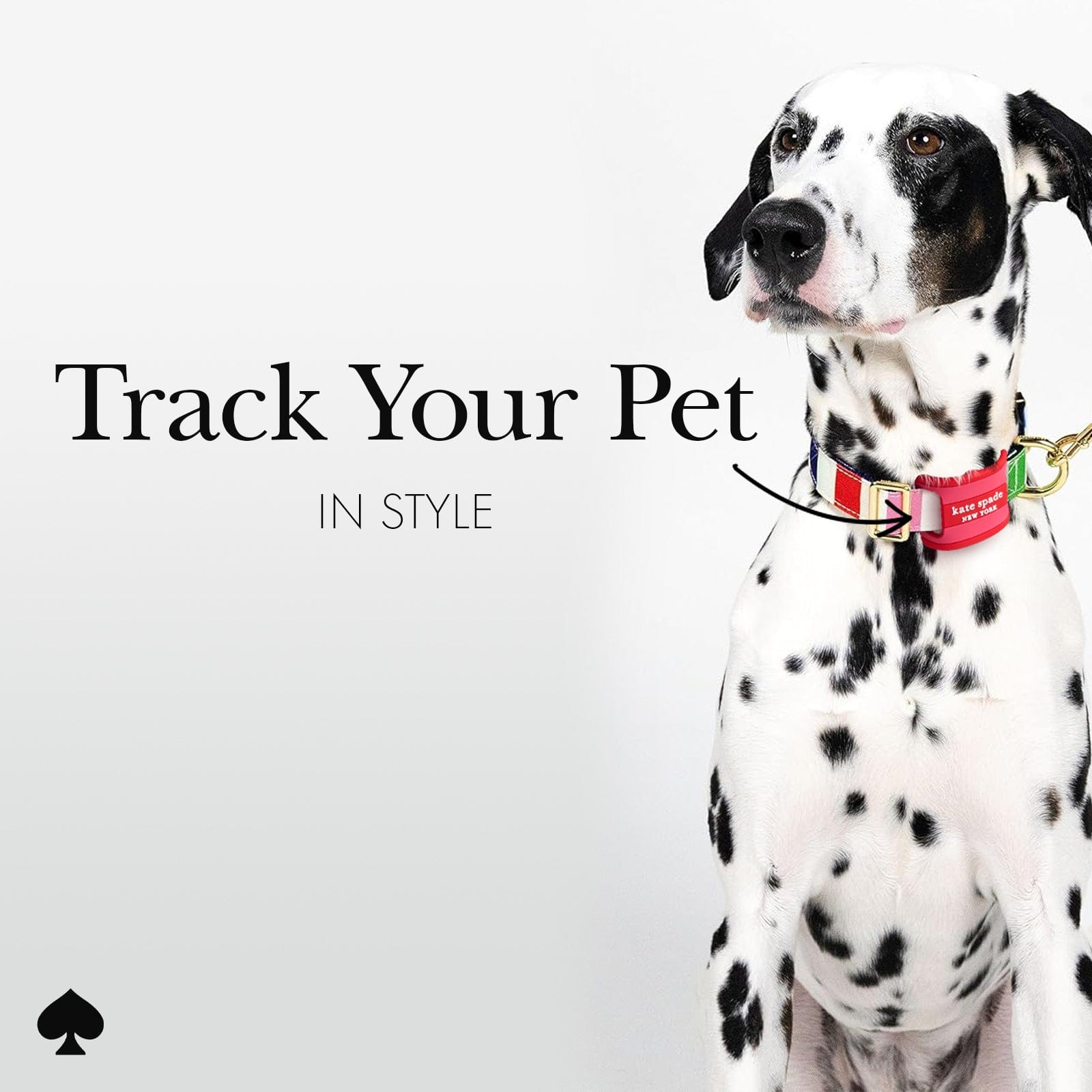kate spade new york Seaside Strip Dog Collar AirTag Case